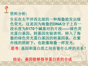 转录和翻译课件.ppt