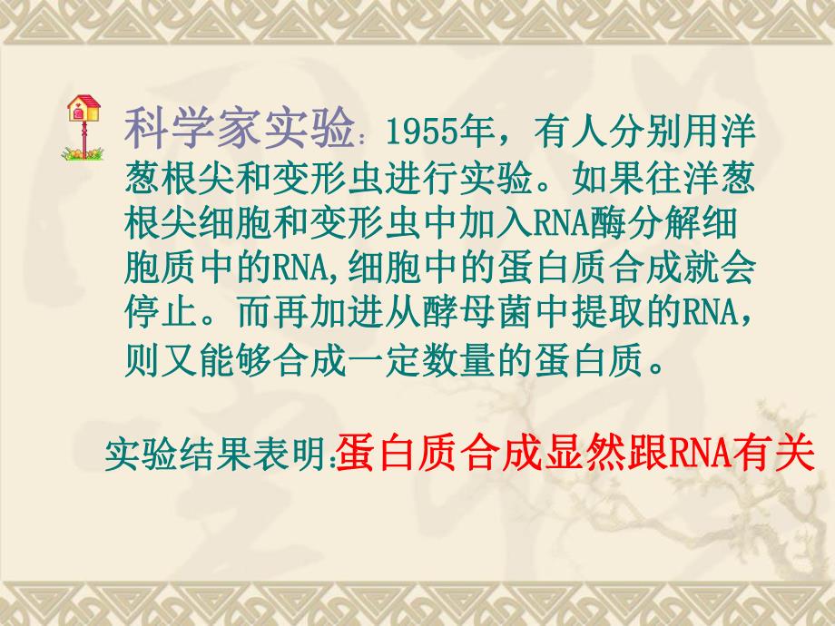 转录和翻译课件.ppt_第3页