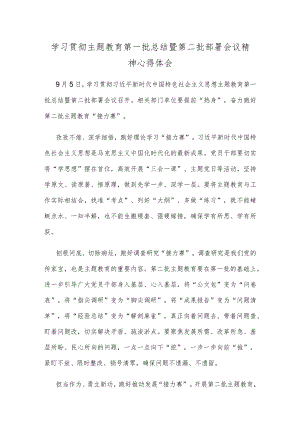 学习贯彻主题教育第一批总结暨第二批部署会议精神心得体会.docx