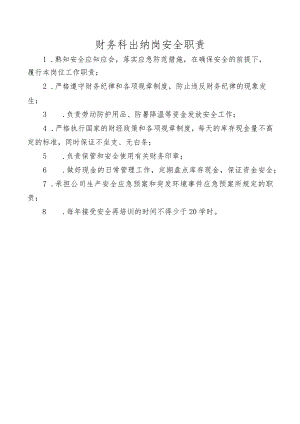财务科出纳岗安全职责.docx