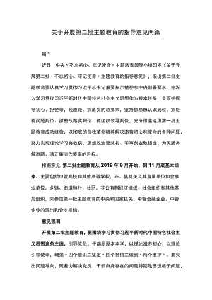 关于开展第二批主题教育的指导意见两篇.docx