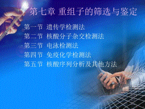 重组子的筛选与鉴定.ppt
