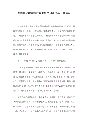 党委书记在主题教育专题学习研讨会上的讲话.docx