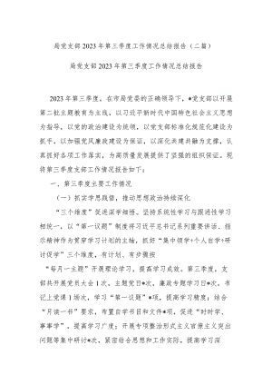 局党支部2023年第三季度工作情况总结报告(二篇).docx