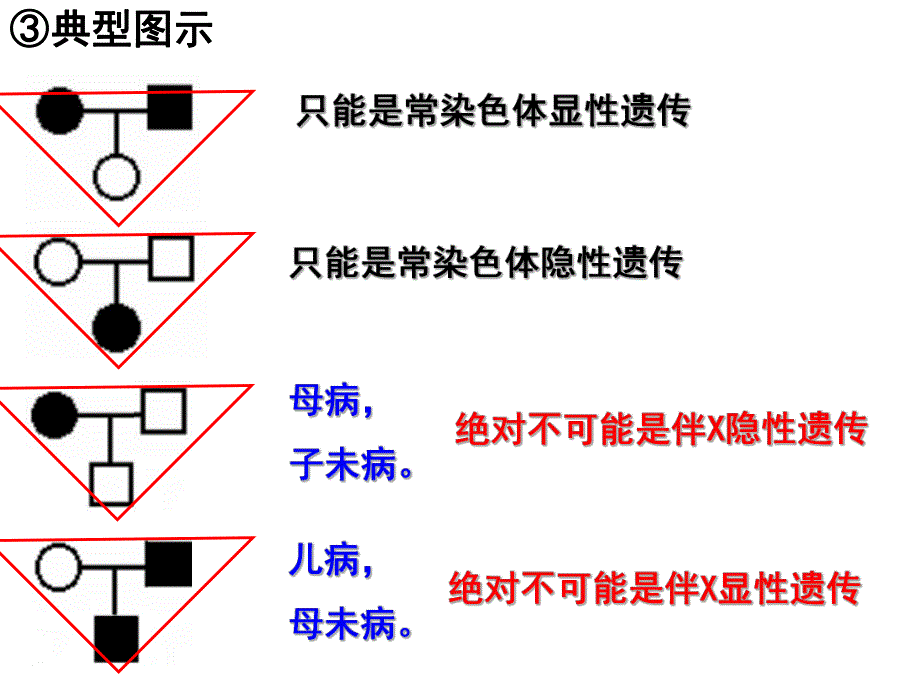 遗传计算题常见题型.ppt_第2页