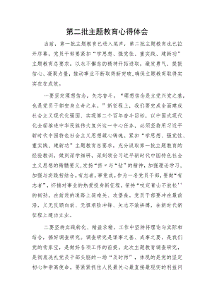 第二批主题教育心得体会.docx