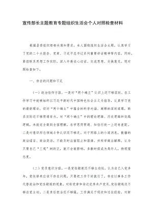 宣传部长主题教育专题组织生活会个人对照检查材料.docx