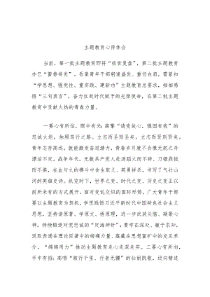 主题教育心得体会.docx