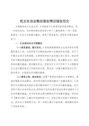 主题教育民主整改落实情况报告工作汇报总结230913.docx