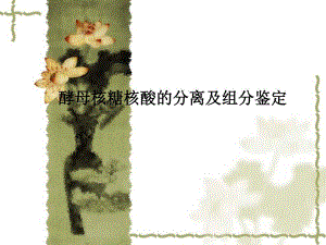 酵母核糖核酸的分离及组分鉴定1.ppt