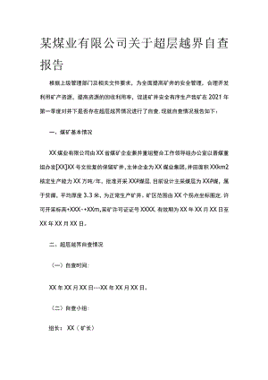某煤业公司超层越界自查报告范文.docx
