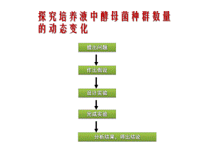 酵母菌种群数量动态变化.ppt