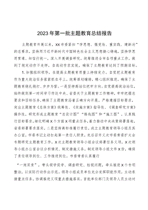 2023年第一批主题教育总结报告 3篇.docx