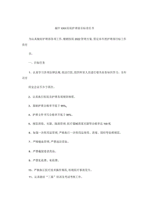 护士目标责任书.docx