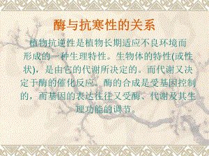 酶与抗寒性的关系.ppt