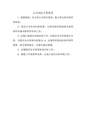 公司风控主管职责.docx