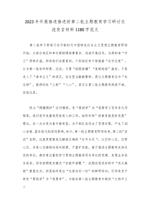 2023年开展推进推进好第二批主题教育学习研讨交流发言材料1180字范文.docx