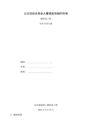 安全措施专项方案.docx
