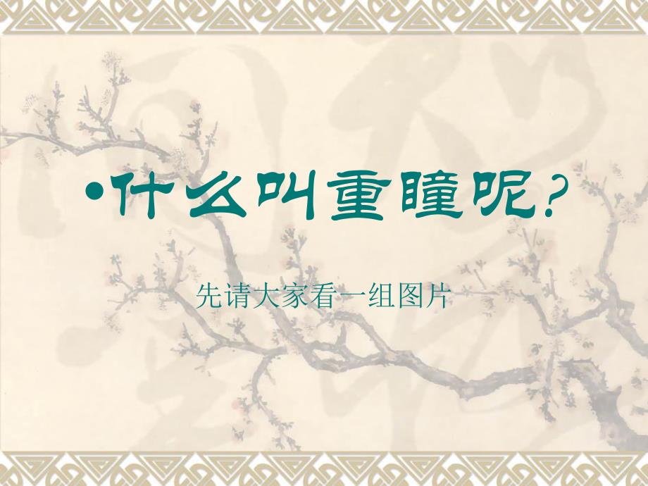 重瞳科普和医学简介.ppt_第2页