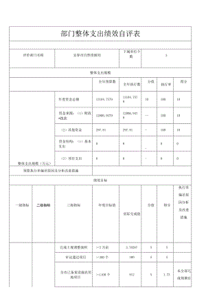 部门整体支出绩效自评表.docx