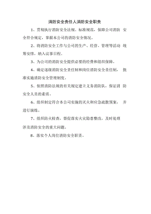消防安全责任人消防安全职责.docx
