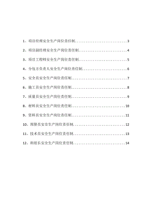 项目岗位人员安全生产责任制.docx