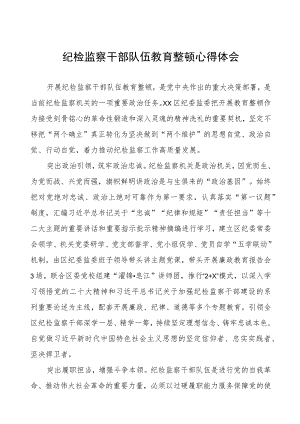 (四篇)党工委关于纪检监察干部队伍教育整顿心得体会.docx