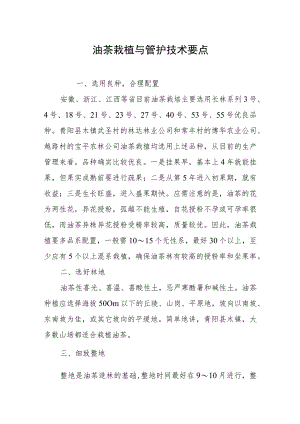 油茶栽植与管护技术要点.docx