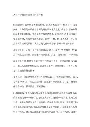 某公司营销职系晋升与降级标准.docx