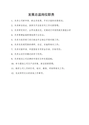 发展总监岗位职责.docx