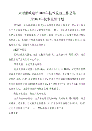 风源桑欧电站年技术监督工作总结.docx