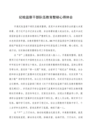 (四篇)纪检书记2023年纪检监察干部队伍教育整顿心得体会.docx