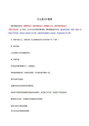 什么是5S管理.docx