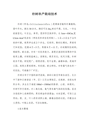朴树丰产栽培技术.docx