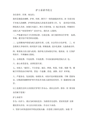 护士承诺书范文.docx
