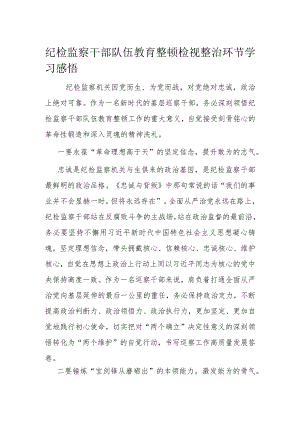 纪检监察干部队伍教育整顿检视整治环节学习感悟.docx