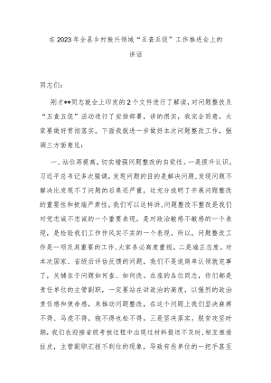 在2023年全县乡村振兴领域“五查五促”工作推进会上的讲话.docx