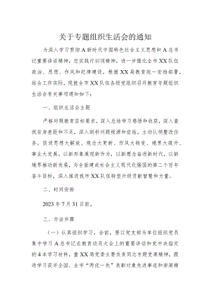 关于专题组织生活会的通知.docx