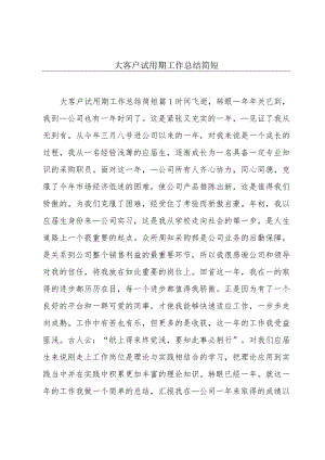 大客户试用期工作总结简短.docx