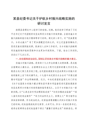 某县纪委书记关于护航乡村振兴战略实施的研讨发言.docx