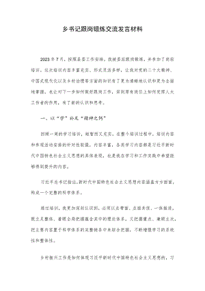 乡书记跟岗锻炼交流发言材料.docx