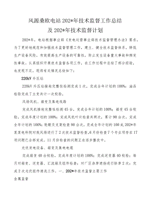风源桑欧电站年技术监督工作总结.docx