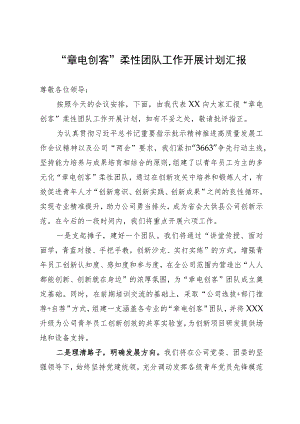 “章电创客”柔性团队工作开展计划汇报.docx