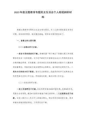 2023年度主题教育专题民主生活会个人检视剖析材料.docx