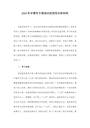 2023年中青年干部培训班党性分析材料.docx