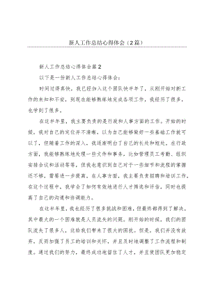 新人工作总结心得体会(2篇).docx
