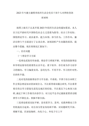 2023年专题主题教育组织生活会党员干部个人对照检查剖析材料.docx