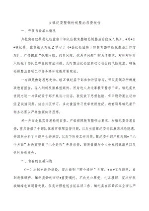 乡镇纪委整顿检视整治自查报告.docx