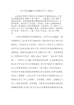 学习贯彻2023年主题教育学习心得体会3.docx