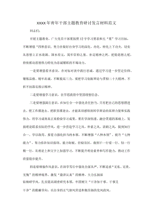 XXXX年青年干部主题教育研讨发言材料范文.docx
